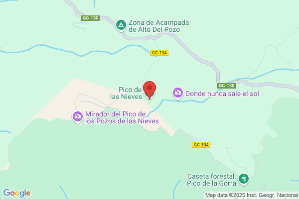 Las Nieves S.L.