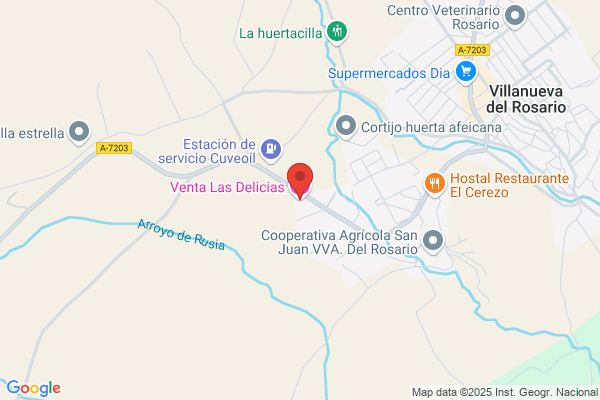Ventas Las Delicias S.L.