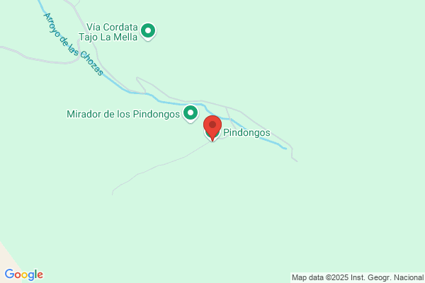 Pindongos