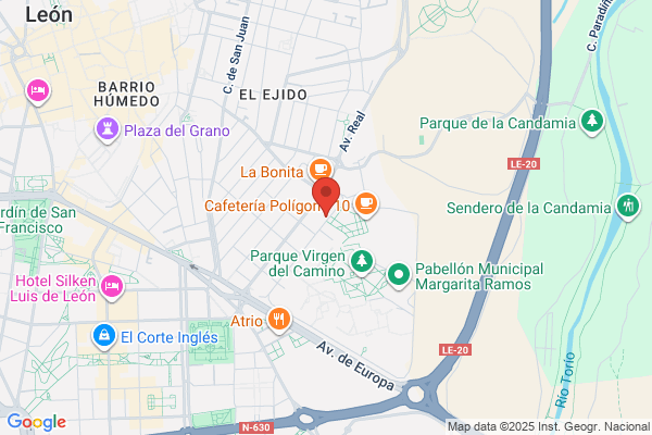 Trabajos Especiales Y Medio Ambiente S.L.