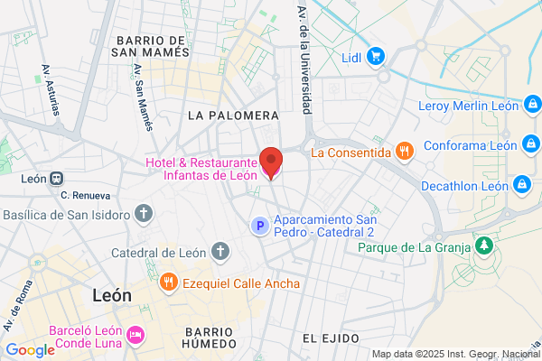 Hotel & Restaurante Infantas de León