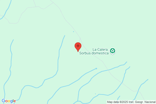 La Oliva Del Pizarroso S.A.