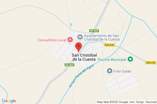Bar Salus