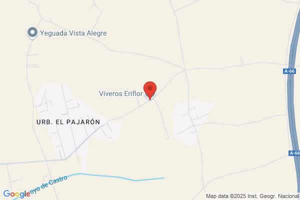 Viveros Eriflor