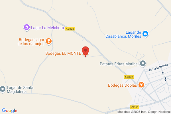 Bodegas Montegaudio S. A.