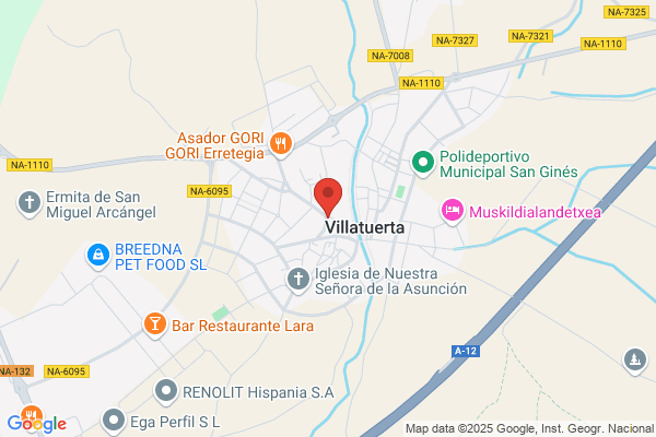 Arraiza De La Fuente b.
