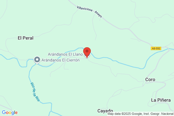 Arándanos el Llano