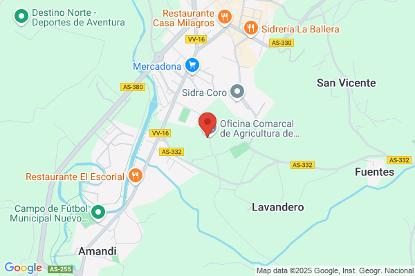 Registro auxiliar en la Oficina Comarcal de Villaviciosa