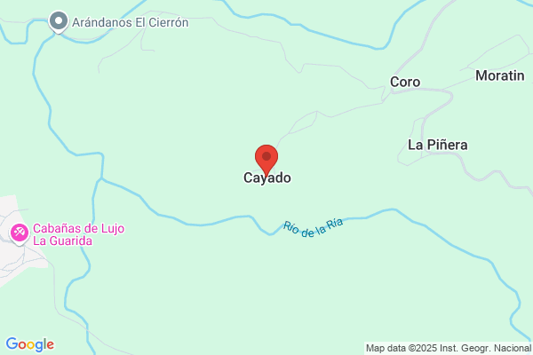 Conlledo Cayado m.