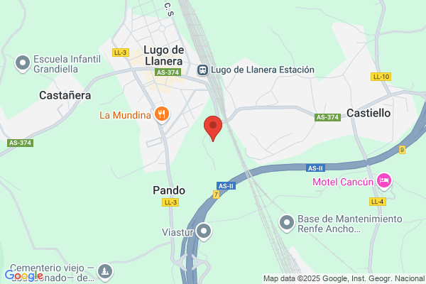 Videntes Asturianos