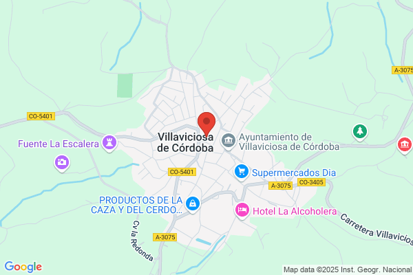Vargas Y Compañia Electro Harinera San Ramon S. a