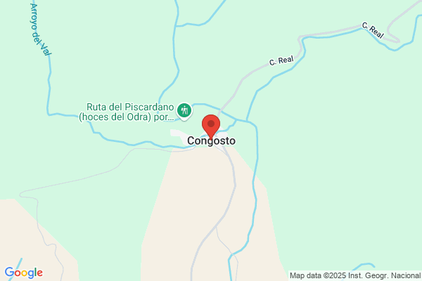 Ruiz Congosto p.
