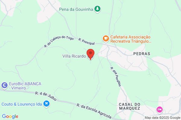 Ricardo Pedrol Vilas