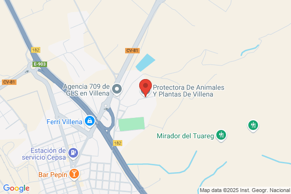 Asociacion Ornitologica De Villena