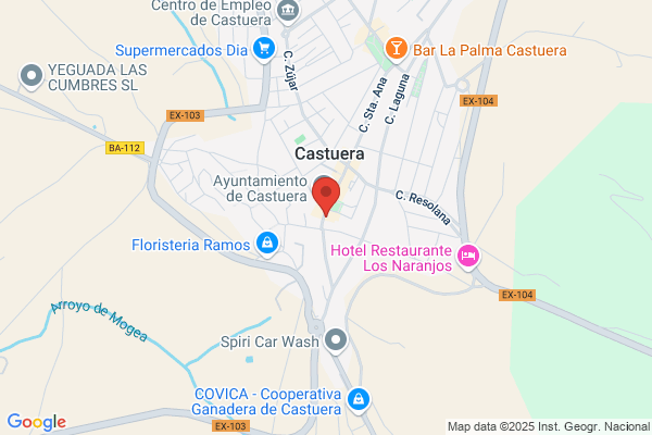 Castuera Gestoria - Academia De Automovilismo