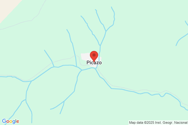 Picazo Muñoz p.