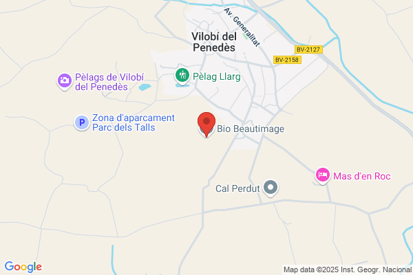 Art Penedes