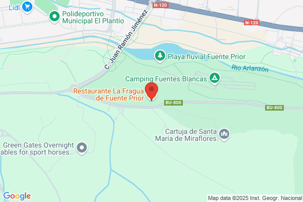 Bar La Fragua