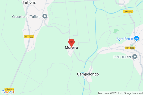 Moreira Ogando j.
