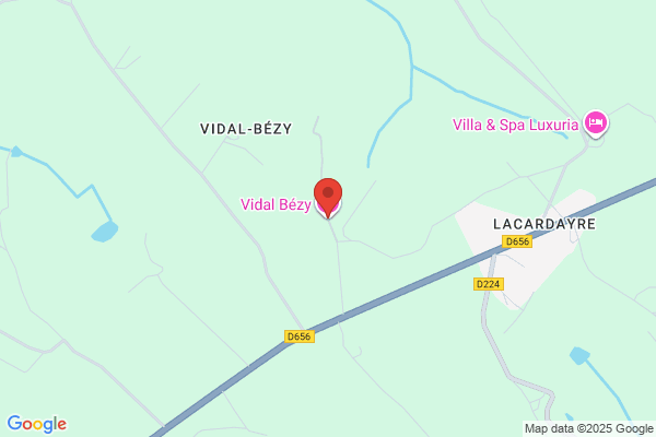 Belles Vidal e.