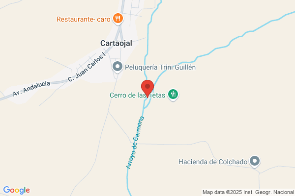 Carmona Arroyo r.