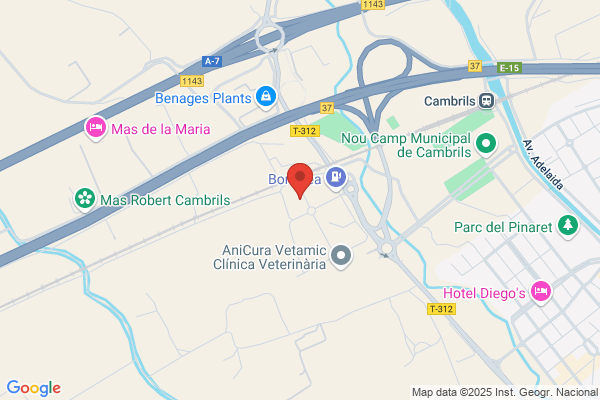 Auto Gruas Cambrils S.L.