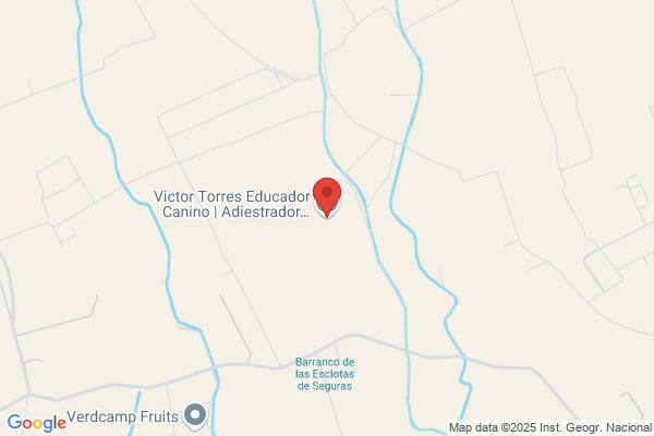 VIctor Torres