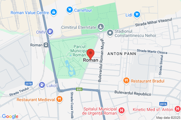 Roman Roman v.