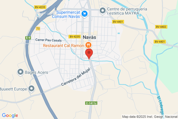 SERVEI DE TAXI LLUÍS CASANOVAS