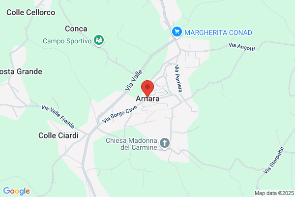 Arnara S. A.