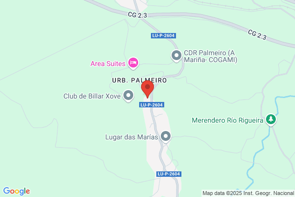 Club Social Deportivo Palmeiro