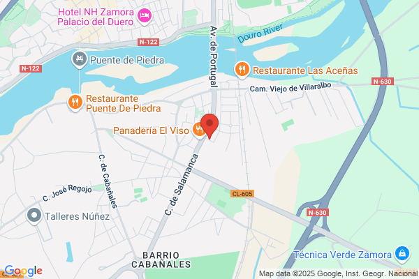 Néstor Topografía