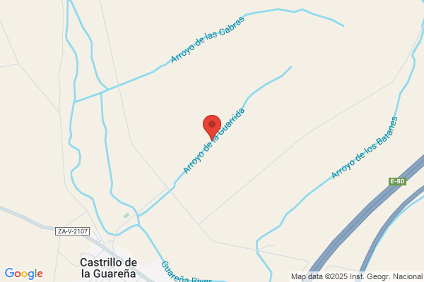 Arroyo Garcia s.