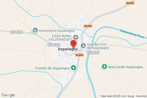 Caja España (Sucursales Provincia Aspariegos)