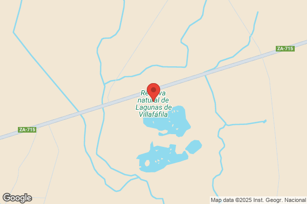 Caja España (Sucursales Provincia Villafafila)