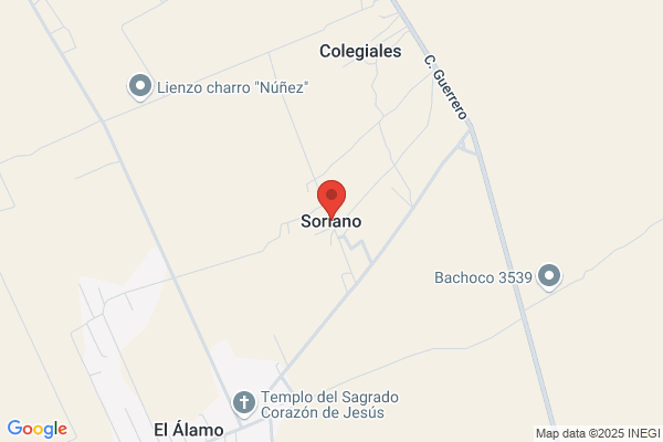Soriano Hidalgo a.