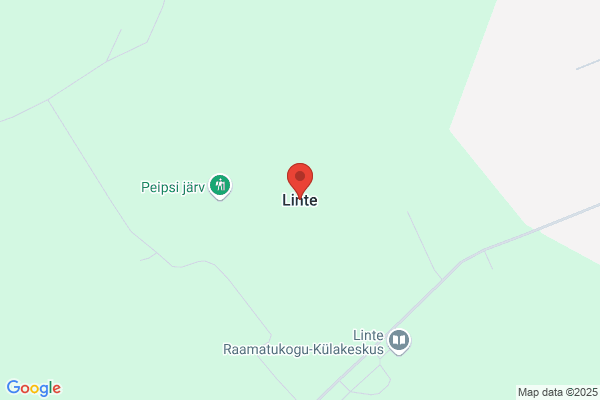 Linte S.L