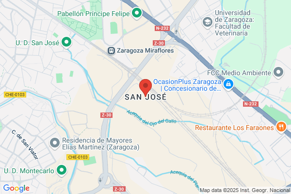 Sanz jose