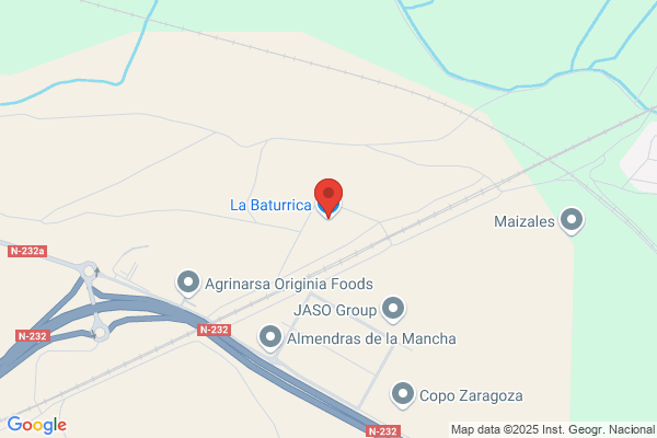 La Baturrica S. L.