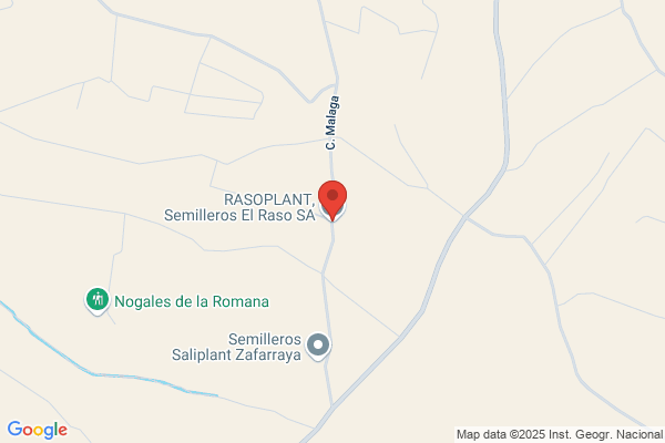 Rasoplant Semilleros El Raso S. A.