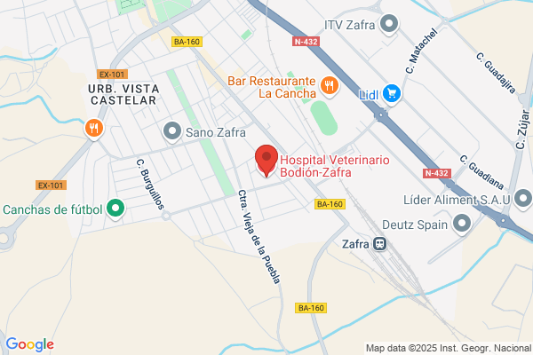 HOSPITAL VETERINARIO BODION ZAFRA