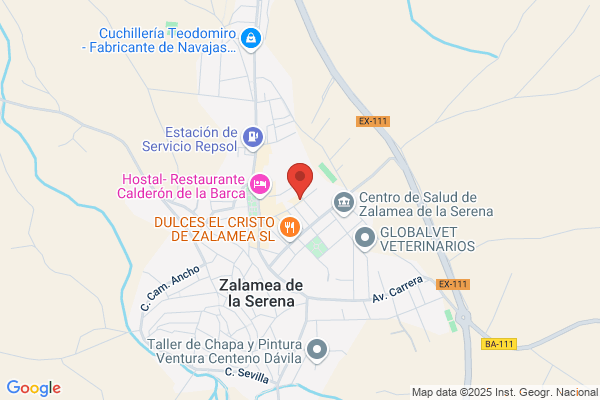 Auto Escuela Gama Zalamea
