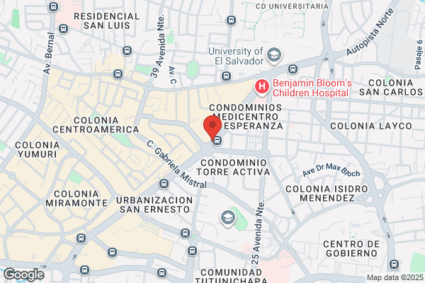 Lopez Y Compañia Consultores S.A.