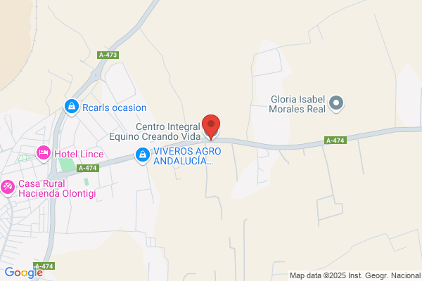 Centro Integral Equino - Creando Vida